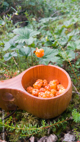 cloudberries in kåsa