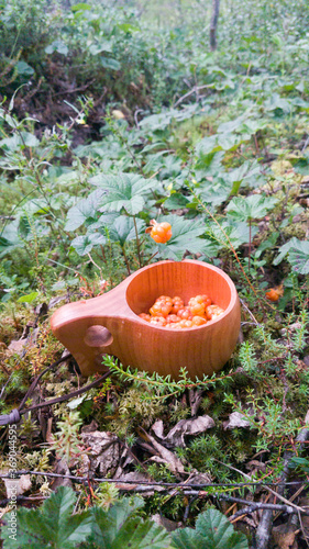 cloudberries in kåsa