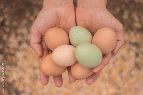 eggs in hands