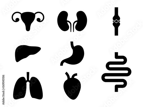 Set of internal organs icons. Human simple organs black shapes collection vector illustration isolated on white.