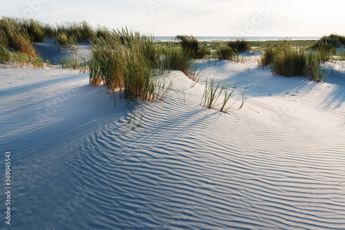 Great wavy sand surfaces in the dunes framed by green grasses.