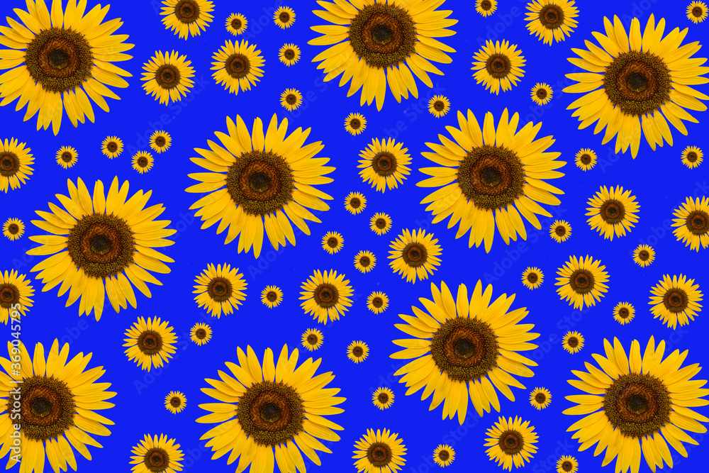seamless pattern with sunflowers seamless pattern with sunflowers