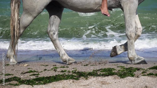 Young man riding on horse galloping on beach front through water.Seaside man on the horse enjoying the good time. Slow motion.
