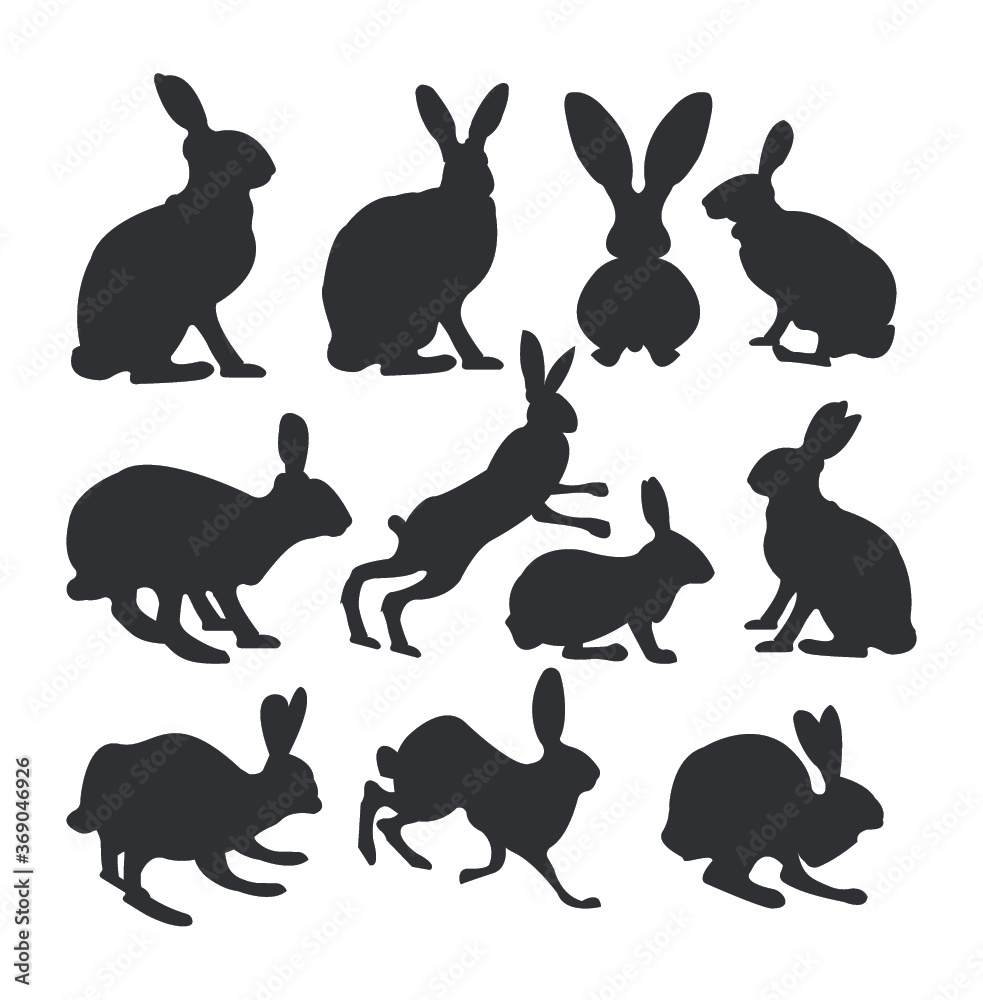 Bunny, rabbit flat icon set