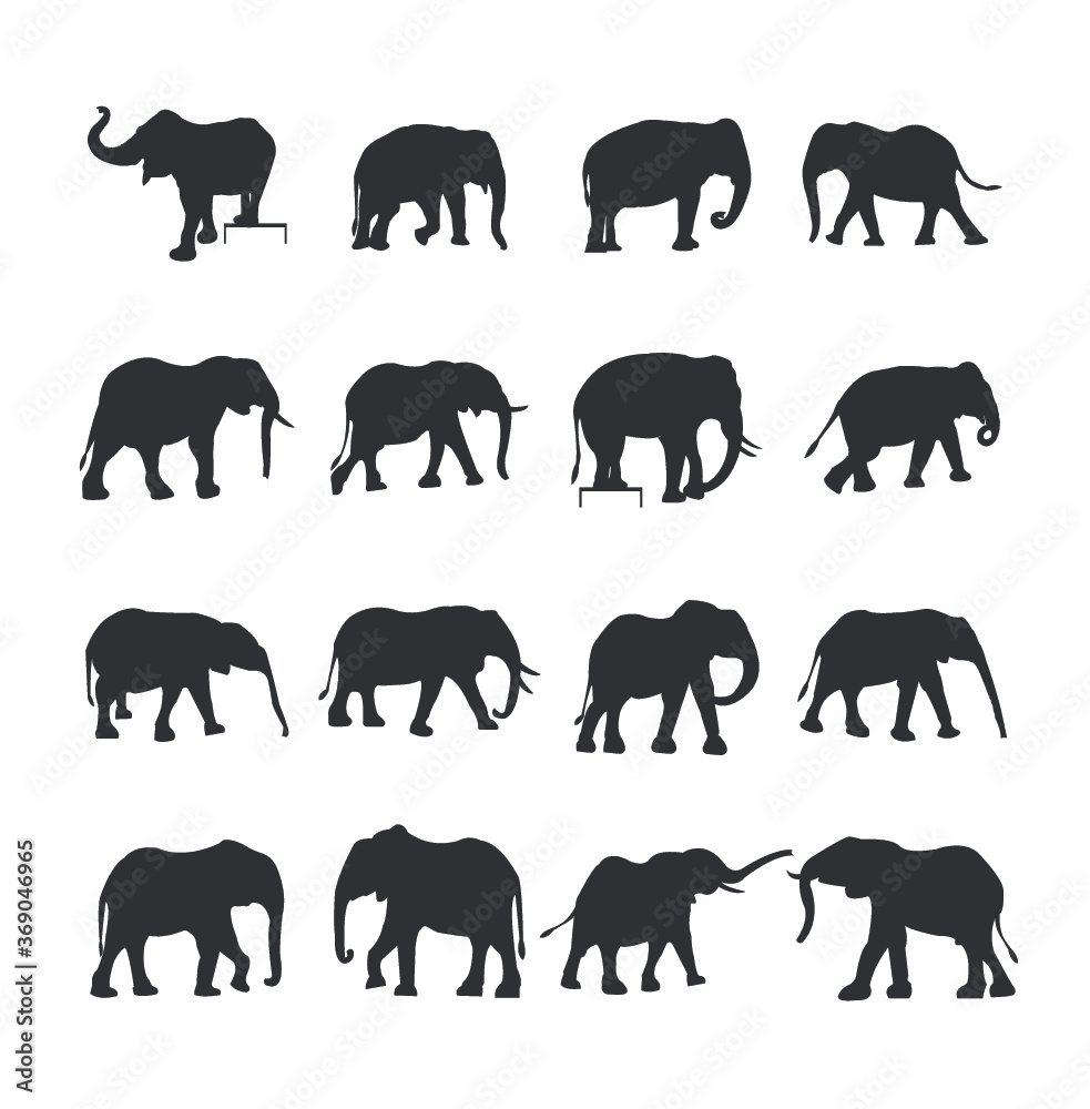 Naklejka premium Elephant