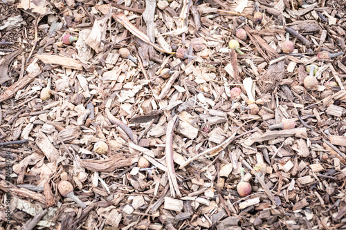 wood chips on floor