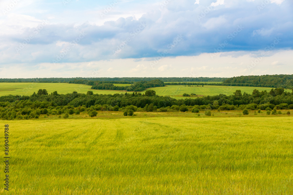 Rural fields on hills with bright green grass and forest