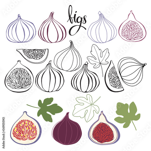 Figs. Vector hand-drawn illustration on a white background. Collection of isolated elements for design.