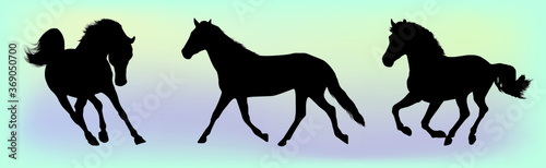 Silhouettes of horses on a gradient background.