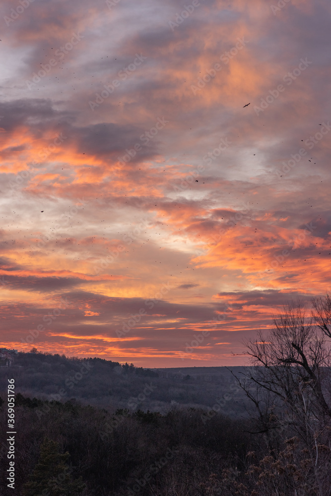 Fototapeta premium Beautiful sunrise in a forest with a cloudy sky.Pink and Orange colored clouds. beautiful nature. Multicolored sky