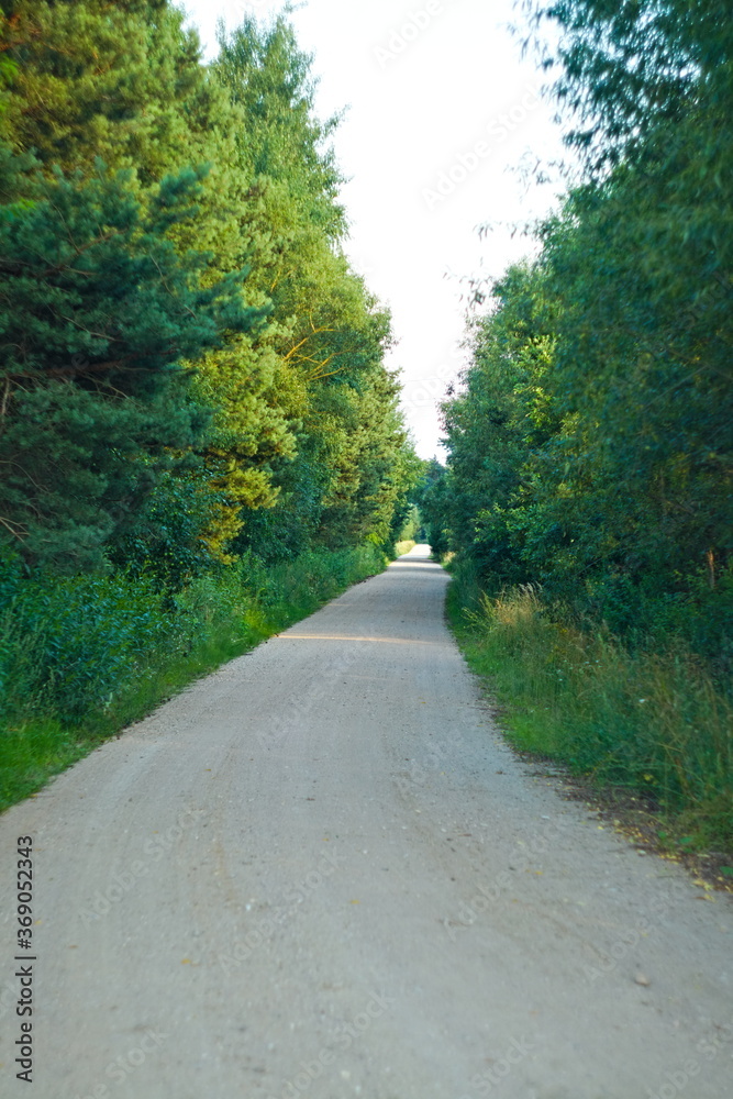 Obraz premium Droga polna