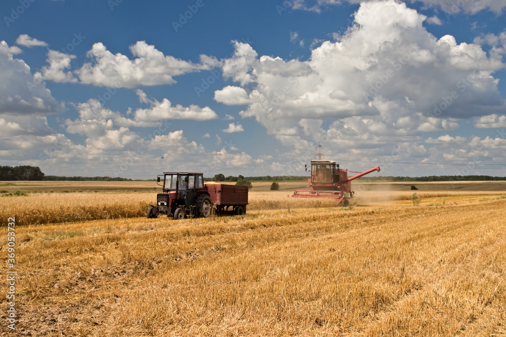 Fototapeta premium Kombajn i traktor rolniczy w czasie żniw
