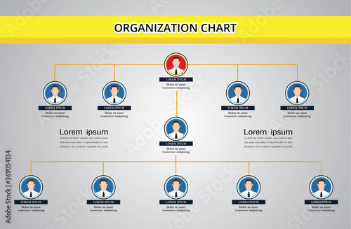 Organization Chart Infographics with People Icon and Abstract Line, Business Structure.