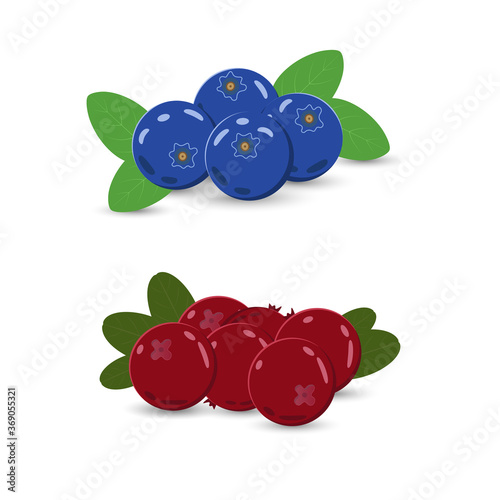 Two small heaps of blueberries and lingonberries decorated with green leaves. Vector illustration. Flat design. Design elements for various purposes.
