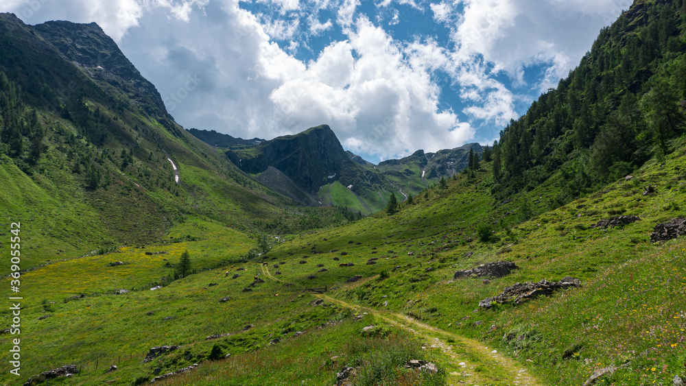 landscape in the mountains