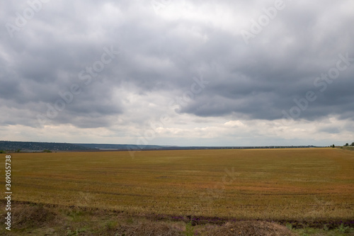 Fototapeta Naklejka Na Ścianę i Meble -  Thunderclouds over a wheat field. Lake and hills in the background.