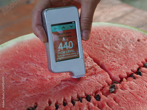 measuring the concentration of nitrates in watermelon using a nitrate tester photo