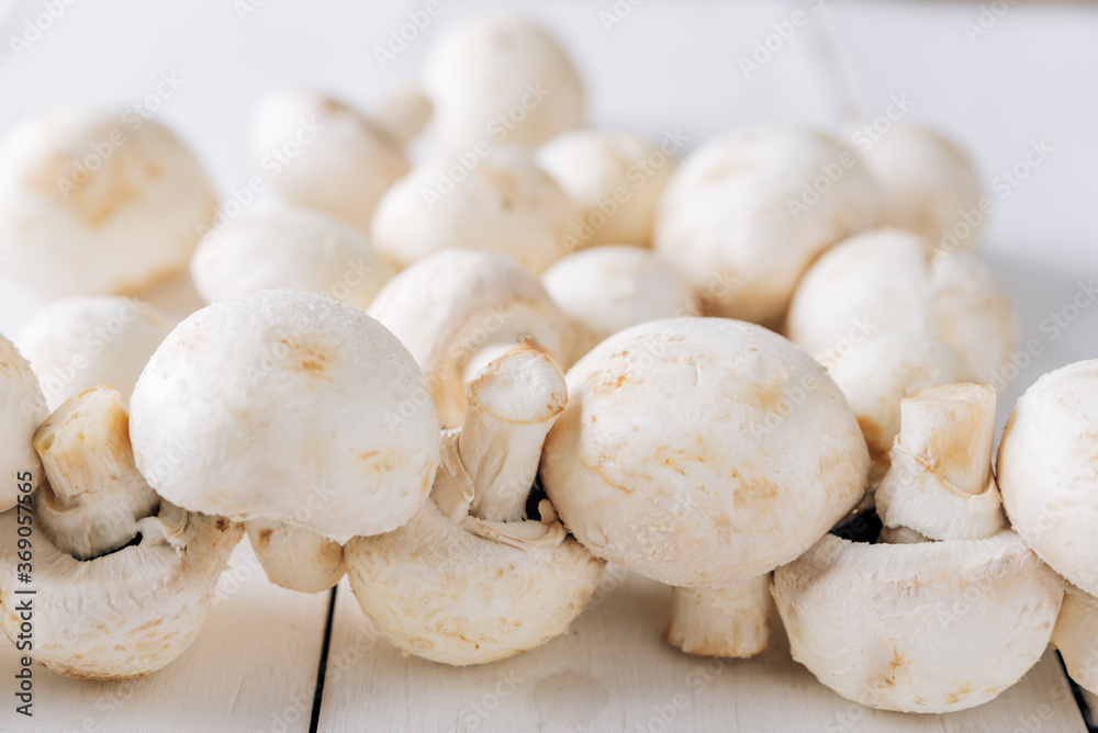 Several mushrooms on a white wooden background Several mushrooms on a white wooden background