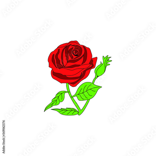 Red Rose