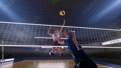 Female professional volleyball players in action on 3d stadium. photo