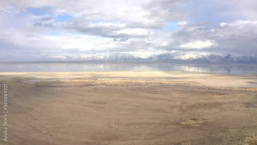pretty antelope island with bison in background pretty antelope island with bison in background