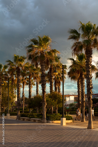 Palm trees et sunset, seashore promenade El Cabanyal, Valencia, Spain.