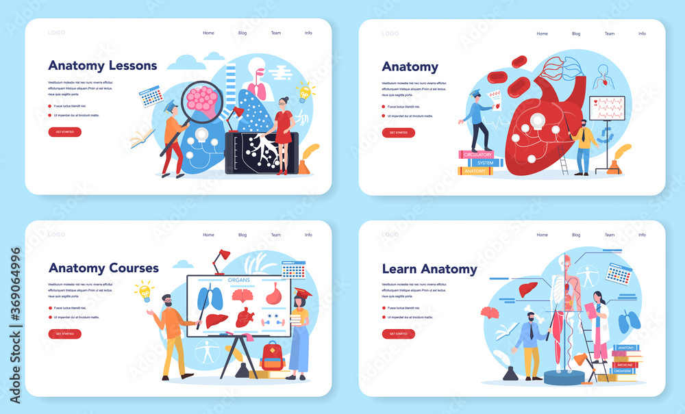 Anatomy school subject web banner or landing page set. Internal Anatomy school subject web banner or landing page set. Internal