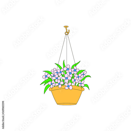 flower in a pot