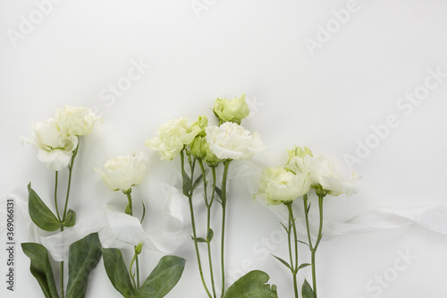 Eustoma flowers background in flat style on white background. Holiday composition. Wedding fashion