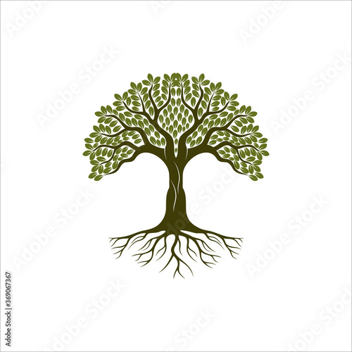 Root Of The Tree logo illustration. Vector silhouette of a tree, Abstract vibrant tree logo design, root vector - Tree of life logo design inspiration isolated on white background.