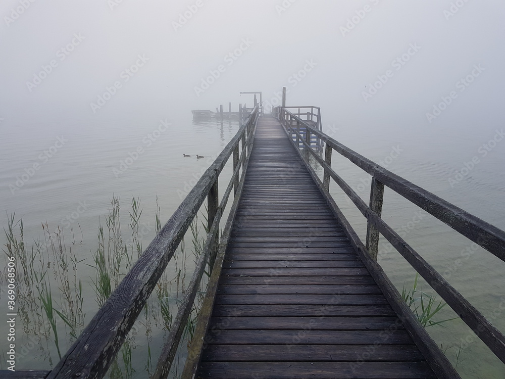 Nebel am Steg