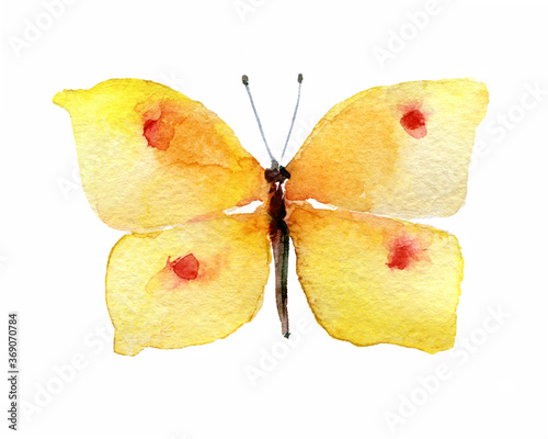 Yellow watercolor butterfly, isolated on white background