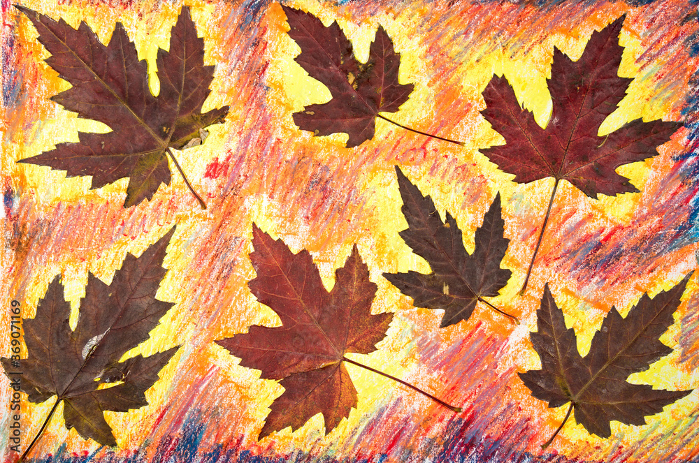 Fototapeta premium leaves in the wind