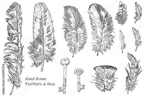 Set of hand drawn ink pen sketchy style black and white feathers and keys.