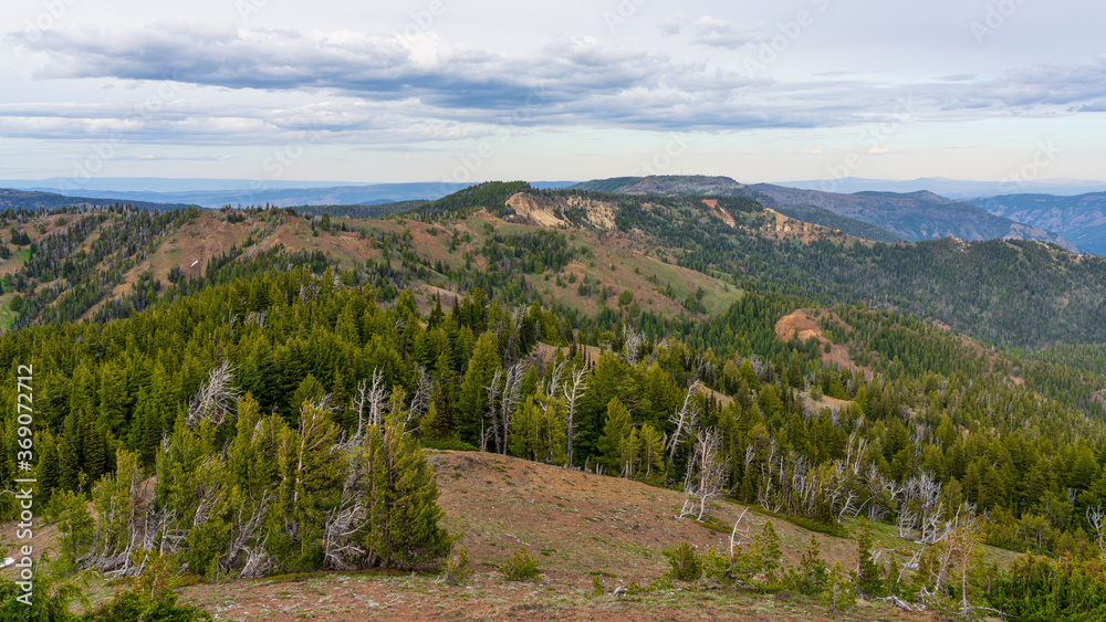Naklejka premium Hiking Along The Burnt Mountain Trail, Cascade Mountains, Washington State