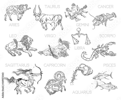 Constellations, zodiac signs, horoscope. Aries, Taurus, Gemini, Cancer, Leo, Virgo, Libra, Scorpio, Sagittarius, Capricorn, Aquarius, Pisces. Vintage engraving tattoo style drawings isolated on white.