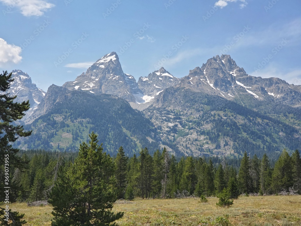 Fototapeta premium Mountain range and trees in the Tetons