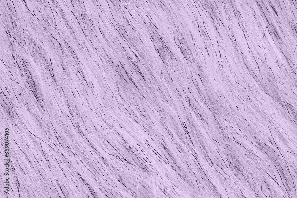 Fototapeta premium Purple fake fur textured material background