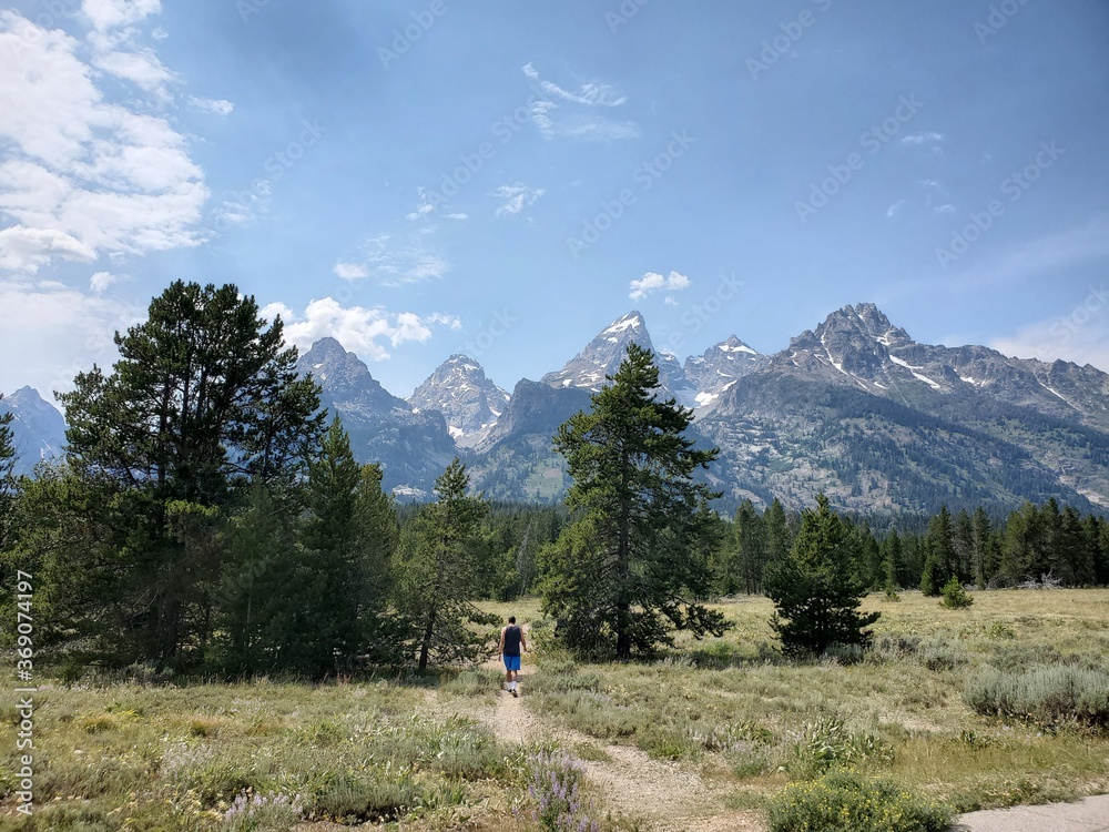 Mountain range and trees in the Tetons