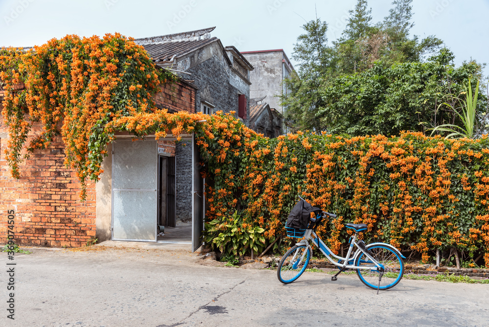 A bicycle in front of a house with many flowers in village of  china.