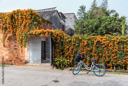 A bicycle in front of a house with many flowers in village of  china. photo