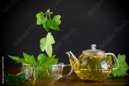 summer refreshing organic tea from currant leaves in a glass teapot