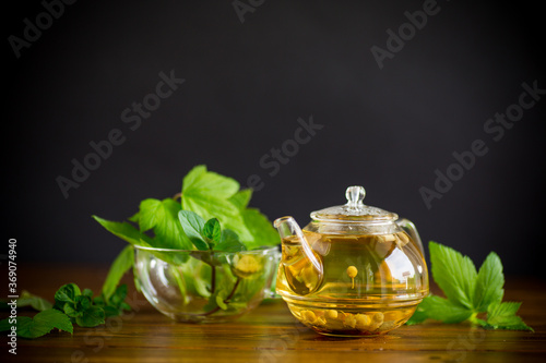 summer refreshing organic tea from currant leaves in a glass teapot