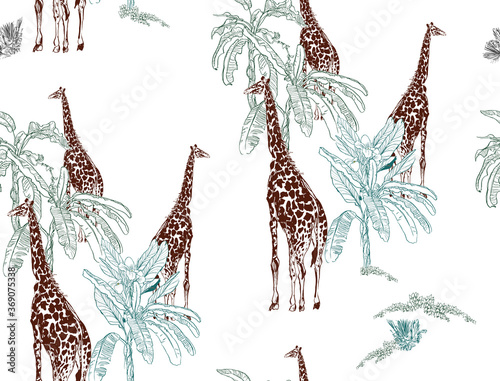 Seamless Pattern Giraffes in Banana Palms Nursery Children Design, Wildlife Safari in Ecotic trees Outline Drawing on White Background, Engraving Drawing Animals in Desert