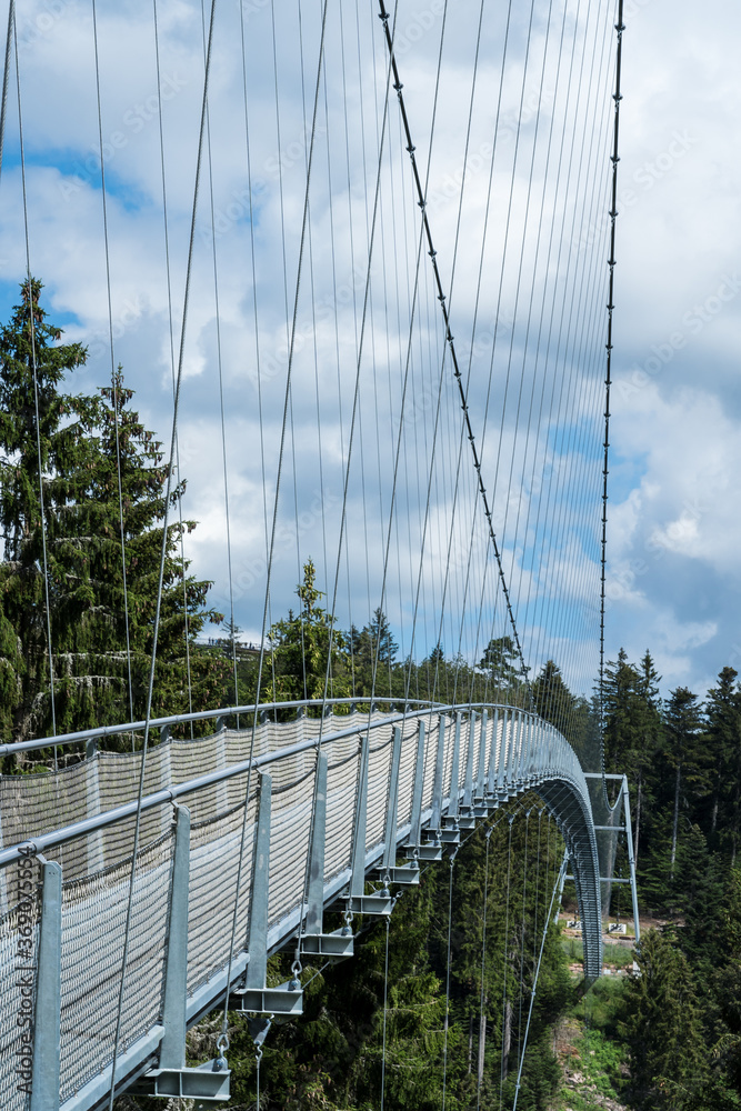 Obraz premium Hängebrücke WildLine bei Bad Wildbad