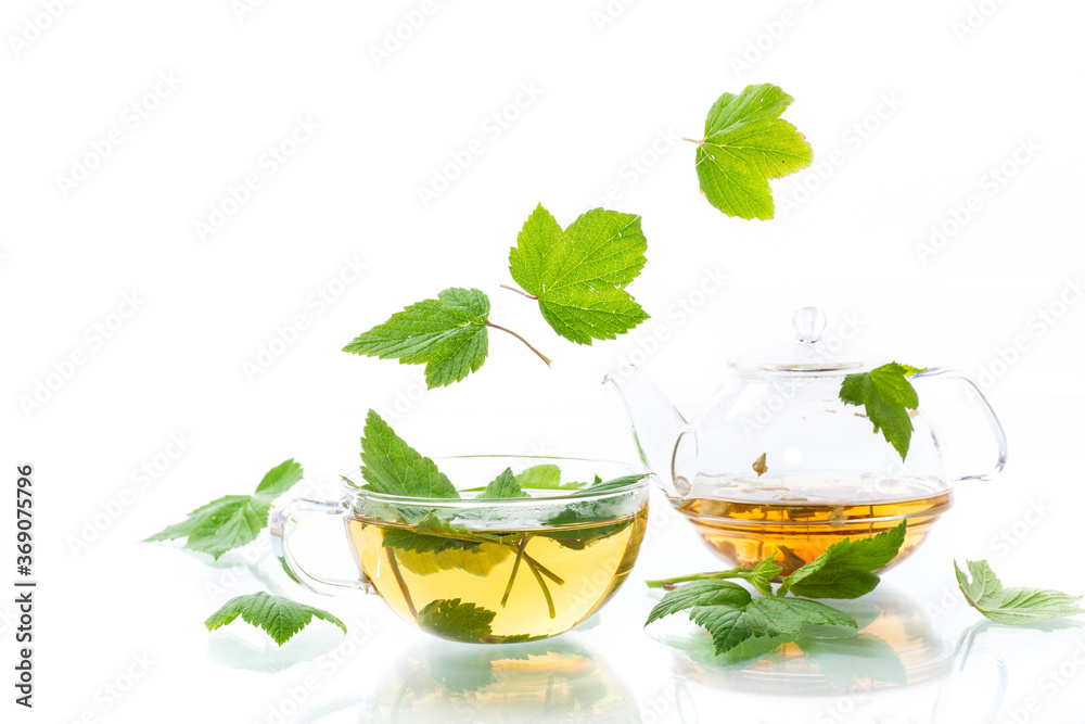 summer refreshing organic tea from currant leaves in a glass teapot summer refreshing organic tea from currant leaves in a glass teapot