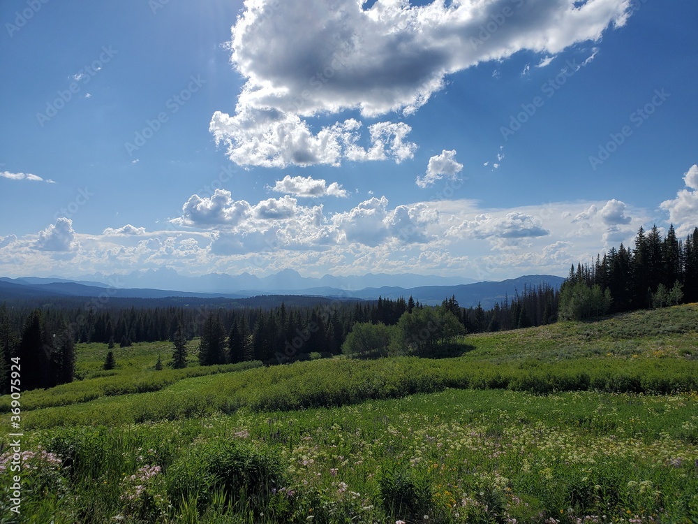 Fototapeta premium Landscape in the Tetons Valley in Wyoming