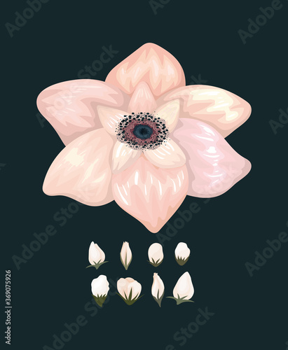 white flower painting design, natural floral nature plant ornament garden decoration and botany theme Vector illustration