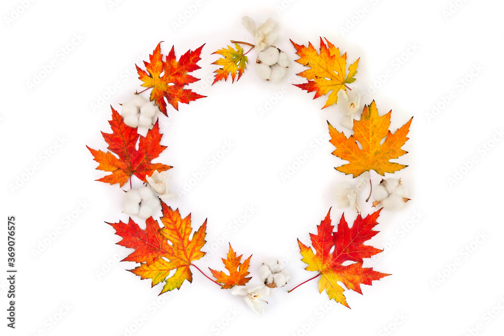 Autumnal frame of maple leaves, cotton flowers, dry white flowers orchid on white background with space for text. Top view, flat lay Autumnal frame of maple leaves, cotton flowers, dry white flowers orchid on white background with space for text. Top view, flat lay