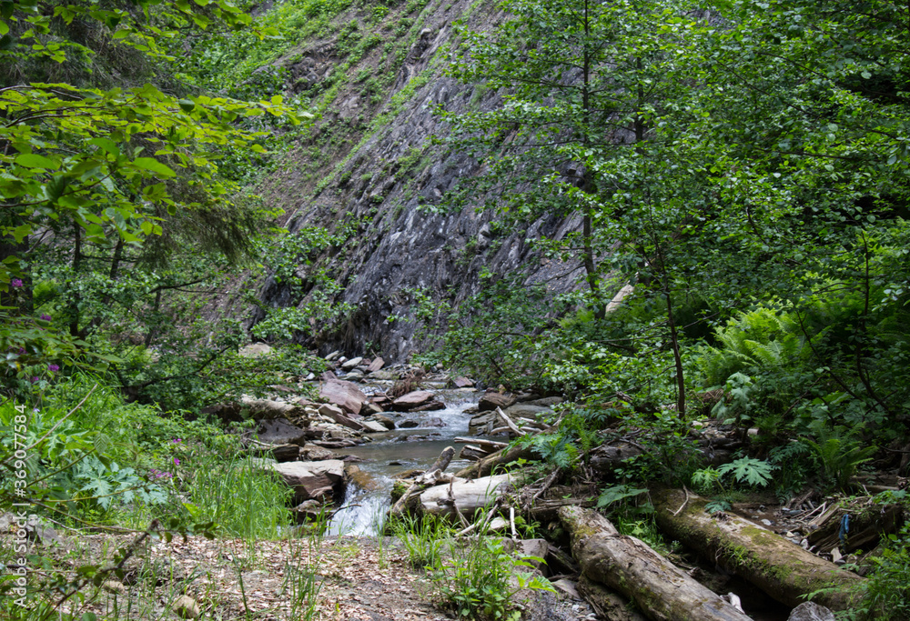 A small mountain river in the forest that turns into a waterfall A small mountain river in the forest that turns into a waterfall